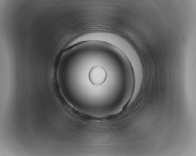 X0000113050548200909031334