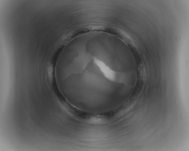 X0000113050550200909031334