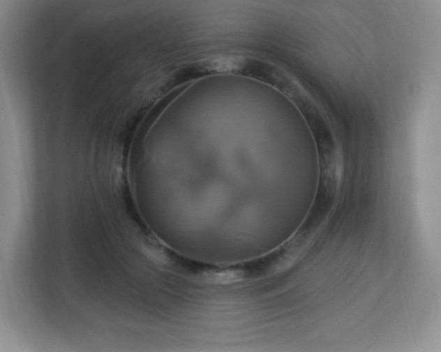 X0000113050553200909031334