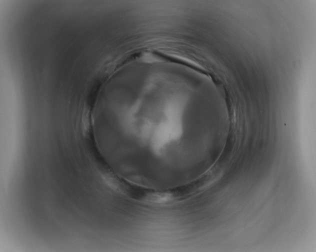 X0000113050554200909031334