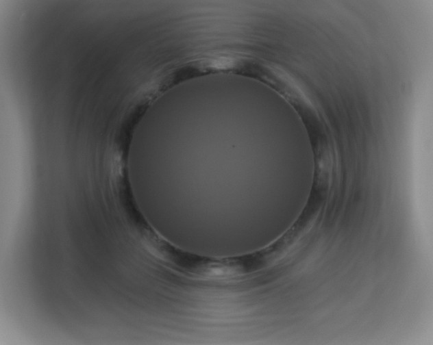 X0000113050555200909031334