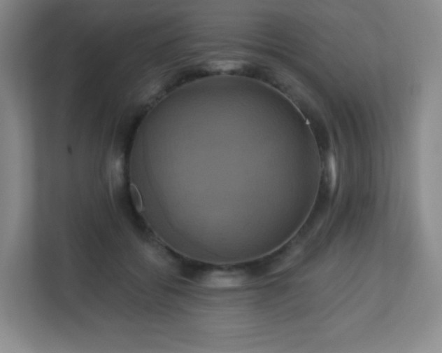 X0000113050556200909031334