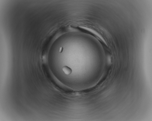 X0000113050558200909031334