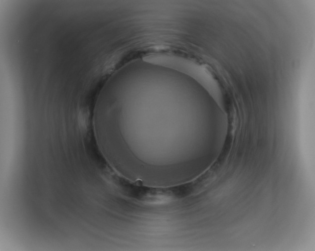 X0000113050559200909031334