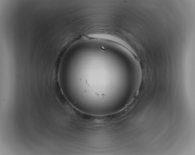 X0000113050560200909031334