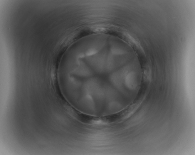 X0000113050561200909031334