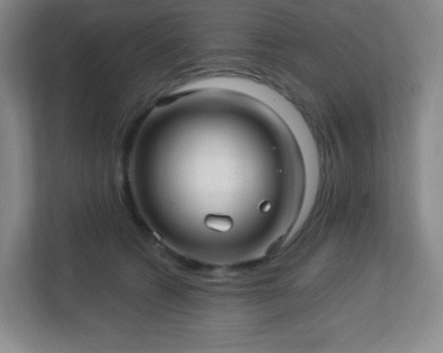 X0000113050562200909031334