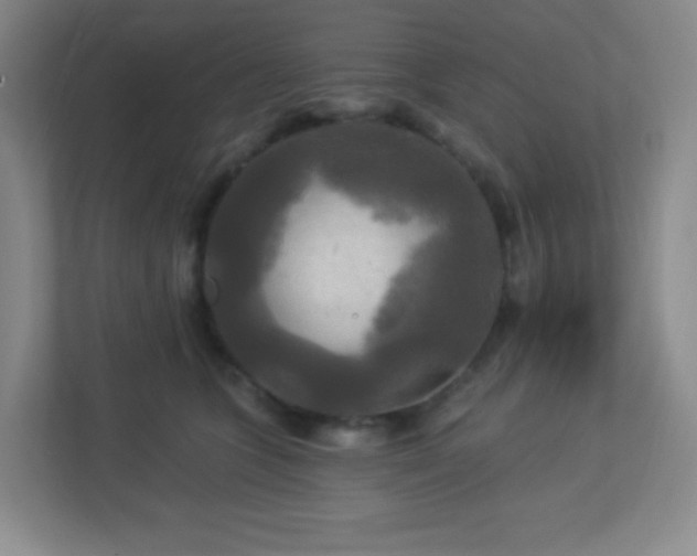 X0000113050563200909031334