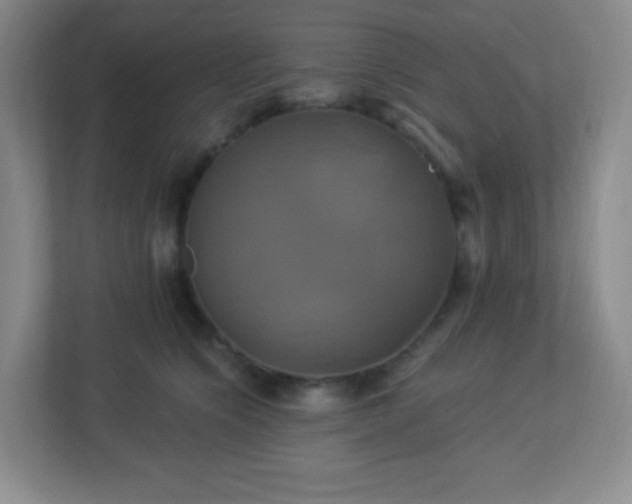 X0000113050564200909031334