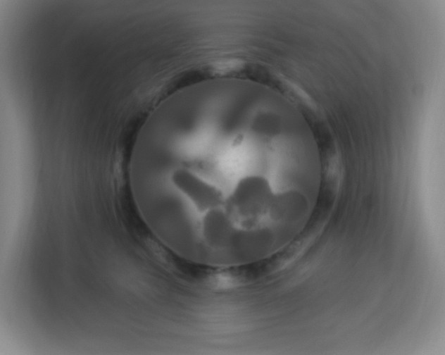 X0000113050565200909031334