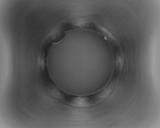 X0000113050566200909031334