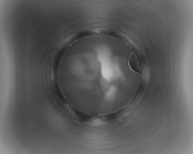 X0000113050569200909031334