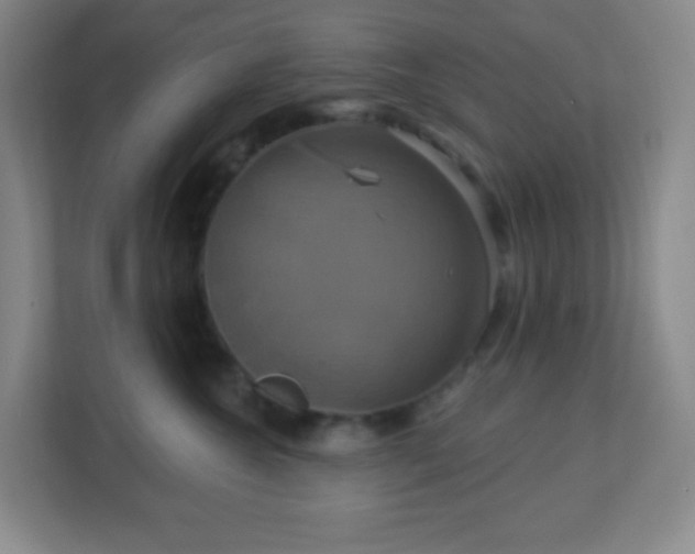 X0000113050572200909031334