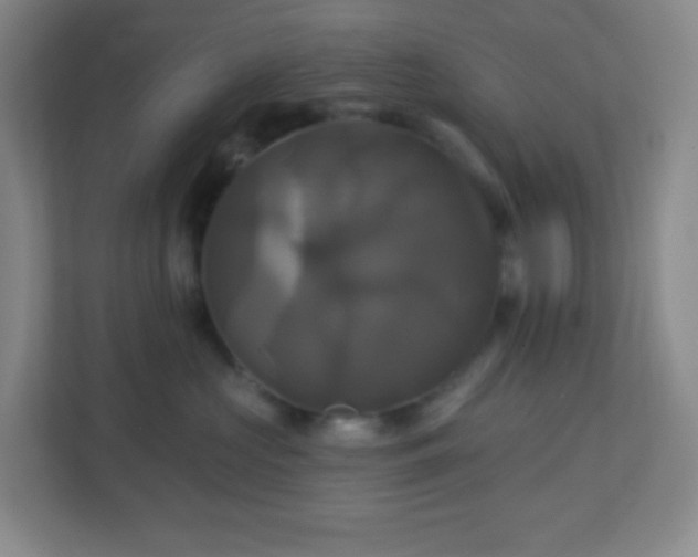 X0000113050573200909031334