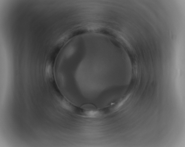 X0000113050575200909031334