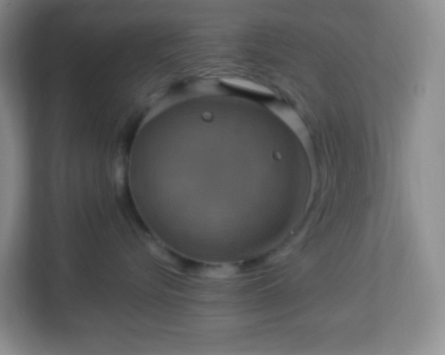 X0000113050576200909031334