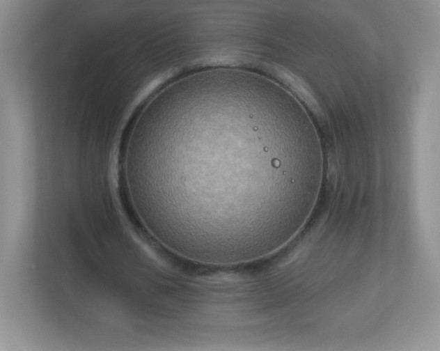 X0000113050578200909031333