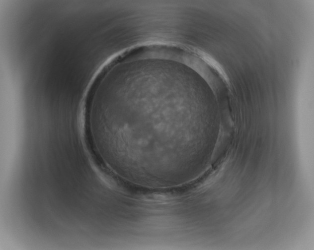 X0000113050580200909031333