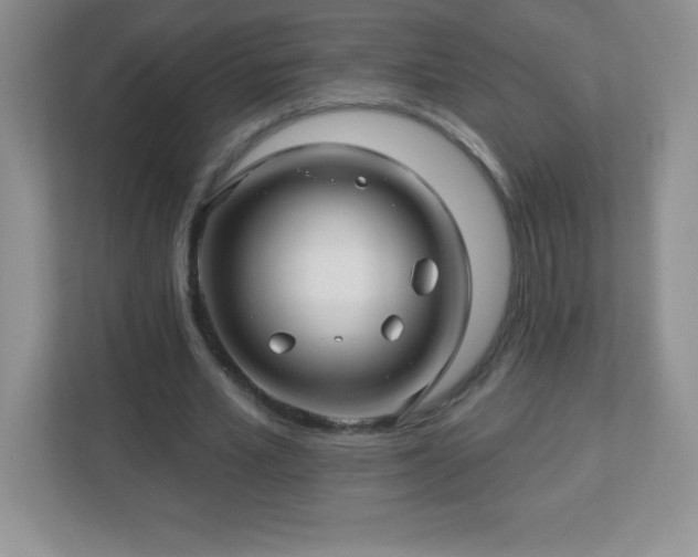 X0000113050581200909031333