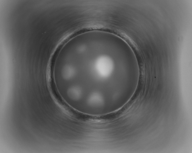 X0000113050582200909031333