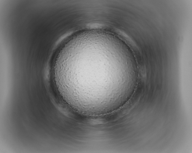 X0000113050583200909031333