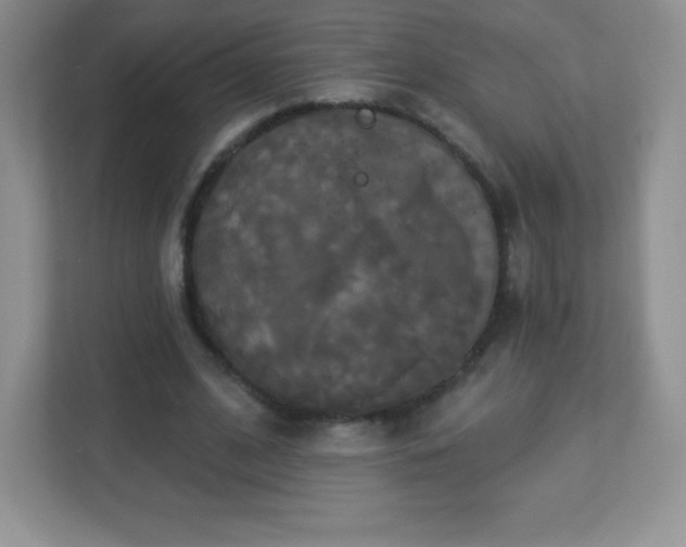 X0000113050584200909031333