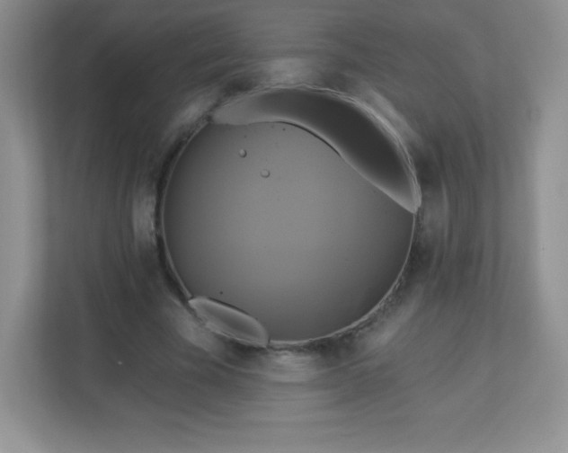 X0000113050585200909031333