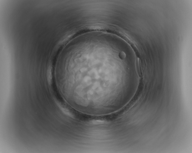 X0000113050586200909031333