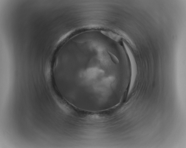 X0000113050588200909031333