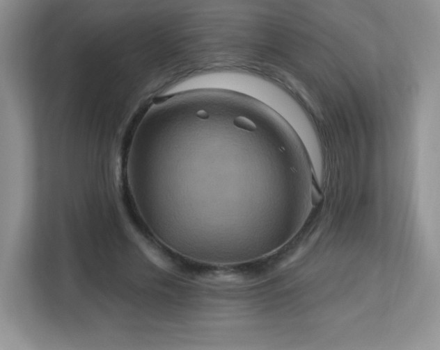 X0000113050589200909031333