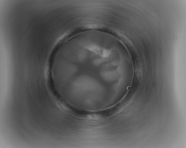 X0000113050591200909031333