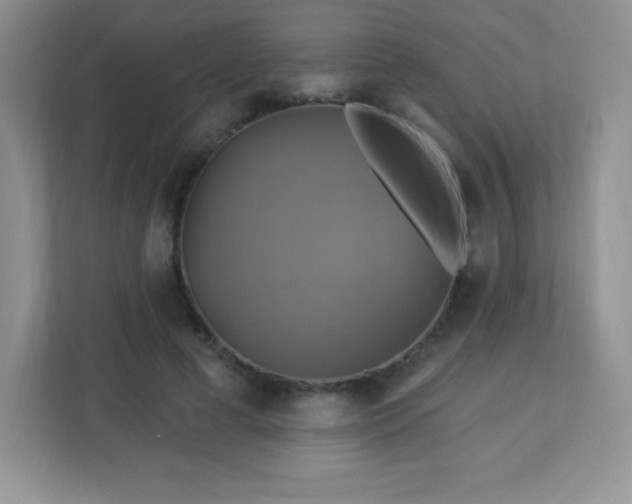 X0000113050593200909031333