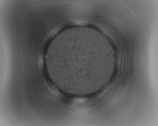 X0000113050595200909031333