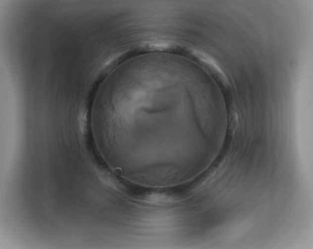 X0000113050596200909031333