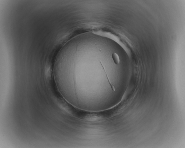 X0000113050597200909031333