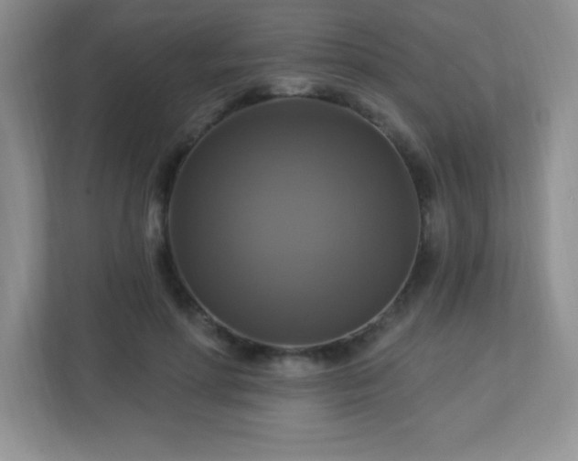 X0000113050598200909031333