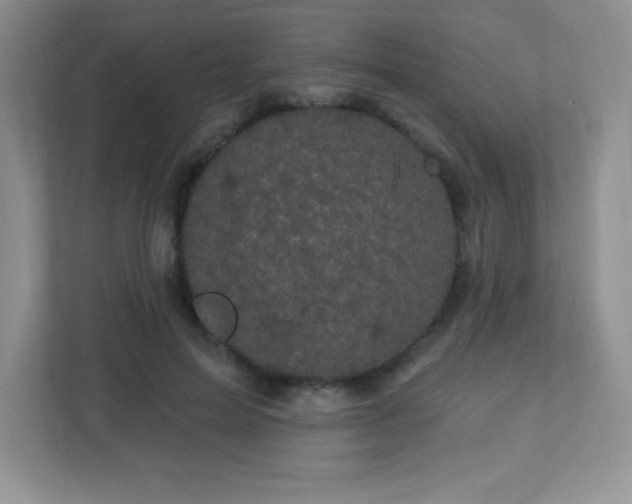 X0000113050599200909031333