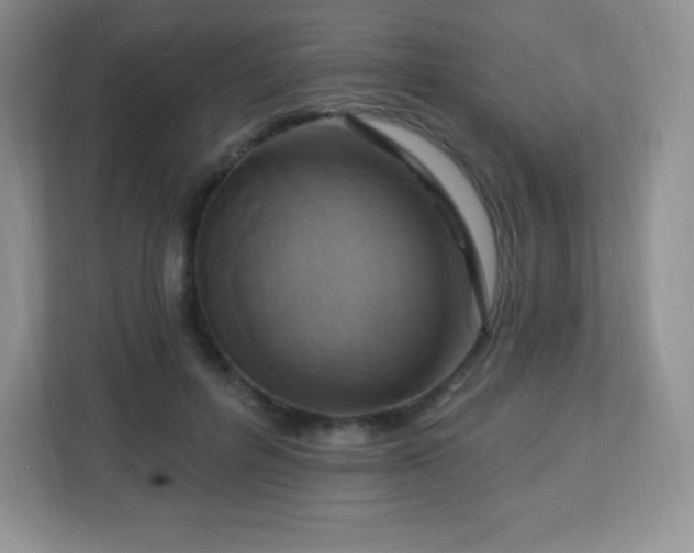 X0000113050600200909031333