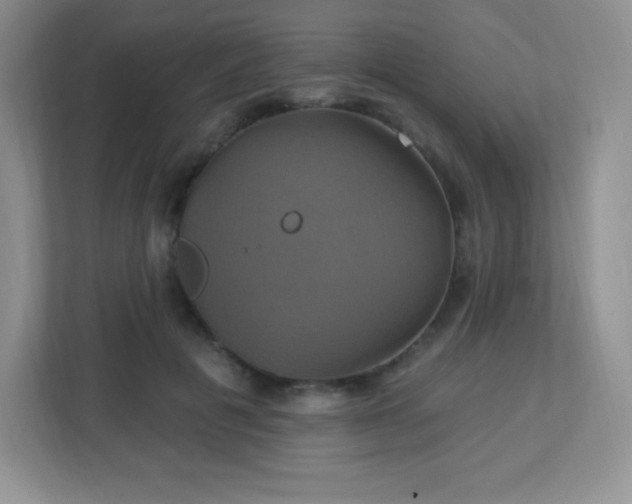 X0000113050601200909031333