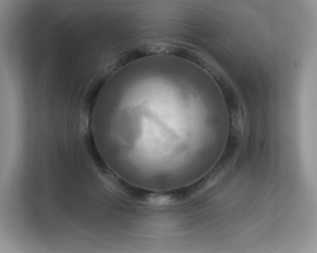 X0000113050602200909031333