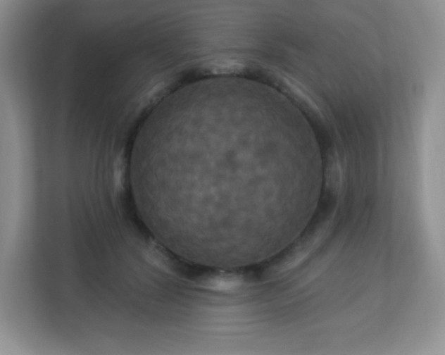 X0000113050604200909031333