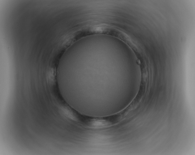 X0000113050605200909031333