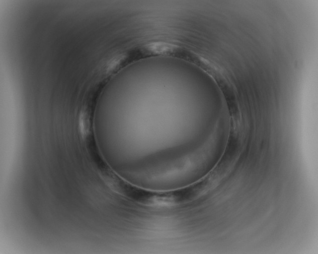 X0000113050606200909031333