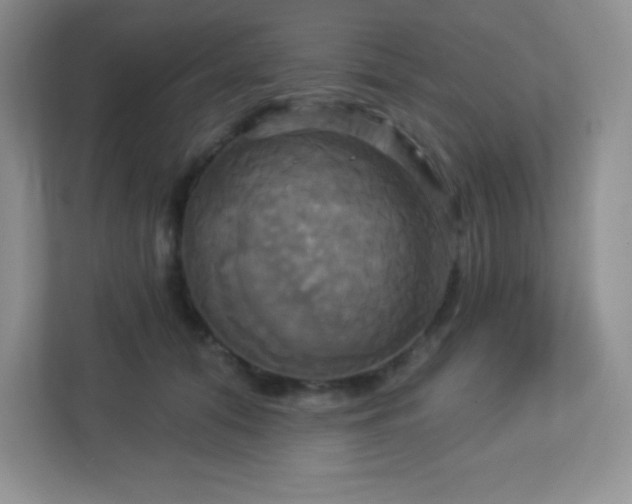 X0000113050608200909031333