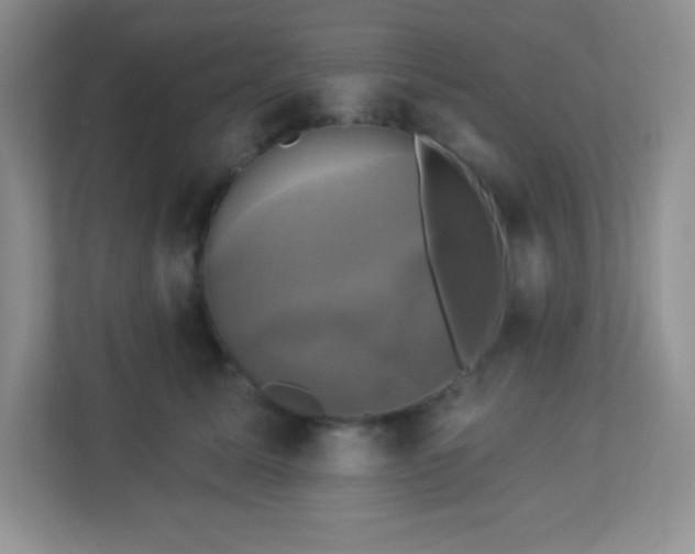 X0000113050611200909031333