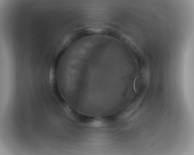 X0000113050612200909031333