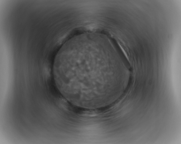 X0000113050615200909031333