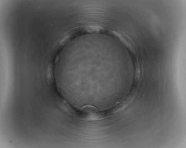 X0000113050616200909031333