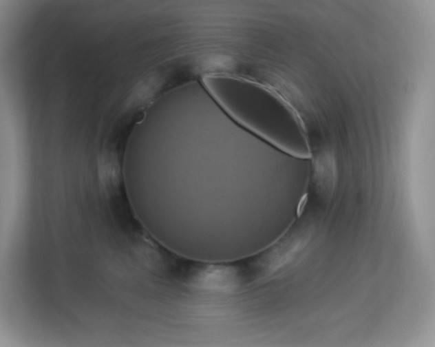 X0000113050617200909031333