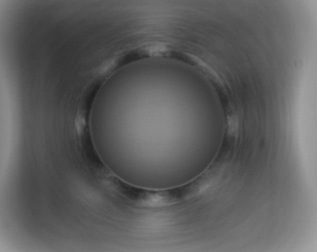 X0000113050618200909031333